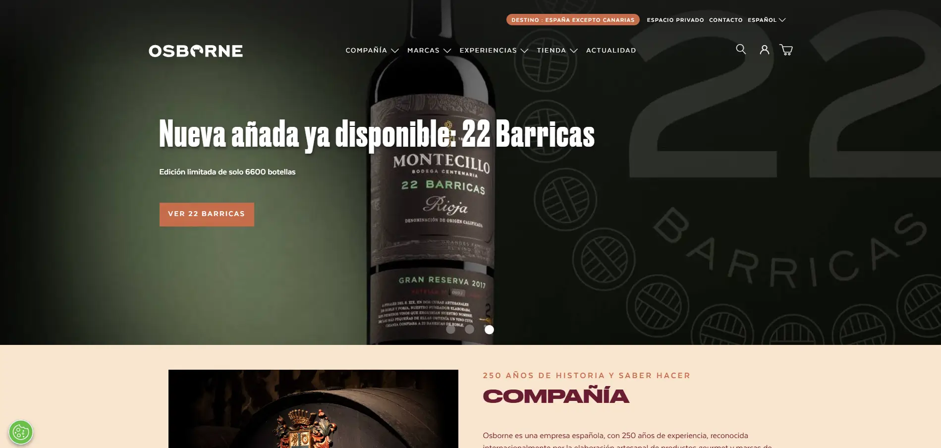 The Osborne Group case study preview - Dynamic E-commerce Update