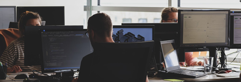 Software Development